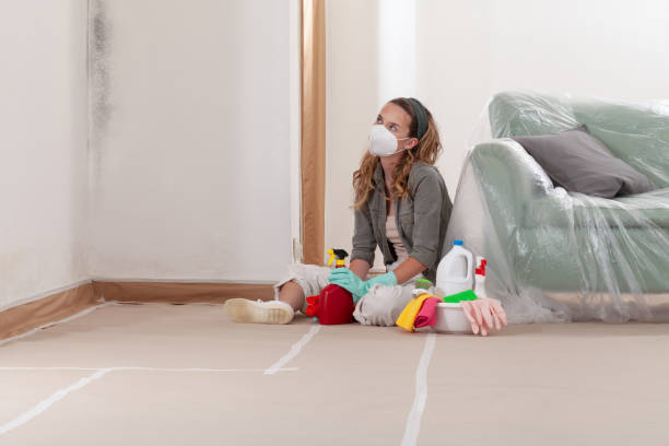 Reliable Mold Testing contractor in Henderson, TN by WQB Mold Removal